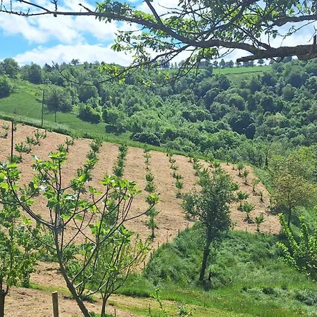 Maison d'hôtes La Paulotta Paroldo