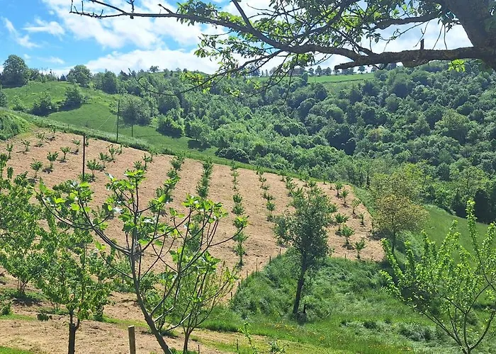 Maison d'hôtes La Paulotta Paroldo